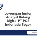 Lowongan Junior Analyst Bidang Digital PT POS Indonesia Bogor