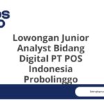 Lowongan Junior Analyst Bidang Digital PT POS Indonesia Probolinggo